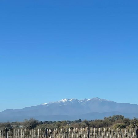 Magnifique Vue Mer F2 45 M2, Parking Surveille Linge De Maison Inclus Canet-en-Roussillon Exteriör bild