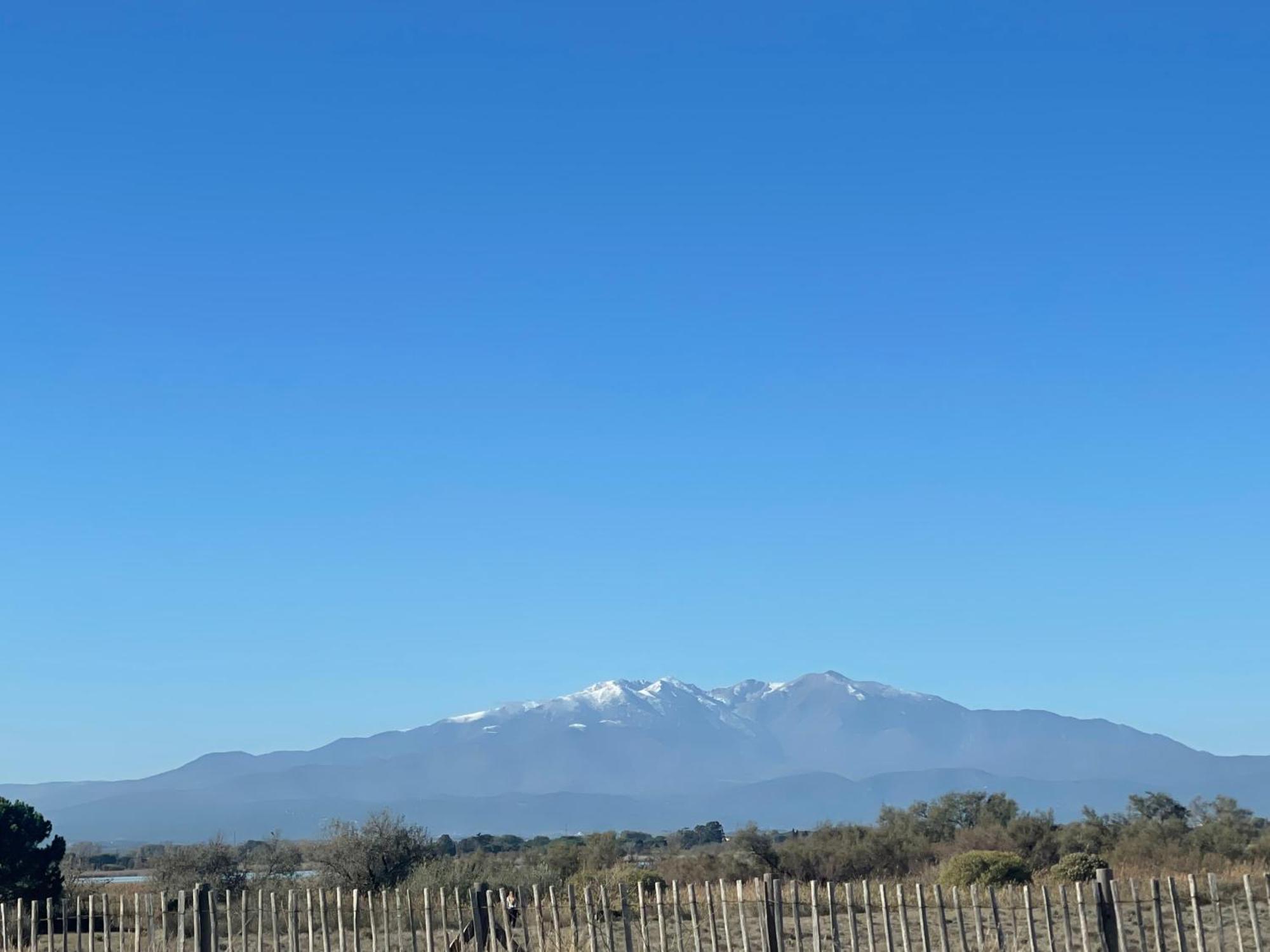 Magnifique Vue Mer F2 45 M2, Parking Surveille Linge De Maison Inclus Canet-en-Roussillon Exteriör bild